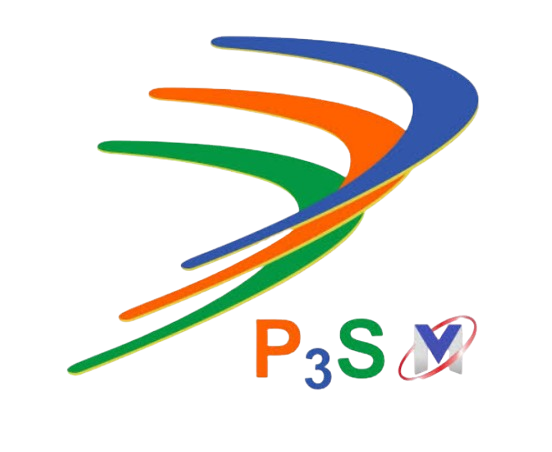 P3SM